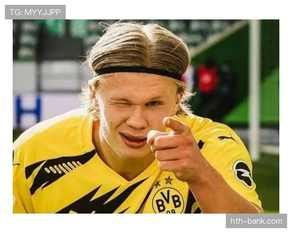 哈兰德回忆多特蒙德生涯：见证球队成长与辉煌时刻