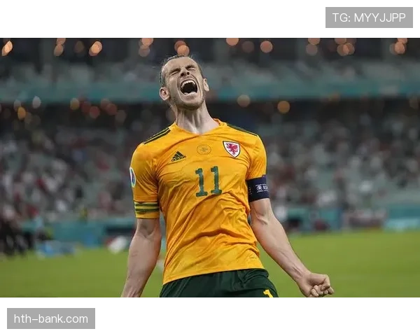 哈兰德快速启动状态回暖表现稳健