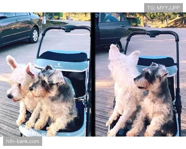 埃琳·安德森看球时居然带着满桌奢侈品，感觉她是在开秀场不是比赛啊？